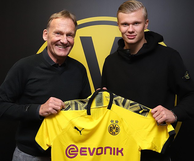 绿茵上的精准艺术：高尔夫运动的优雅与坚守