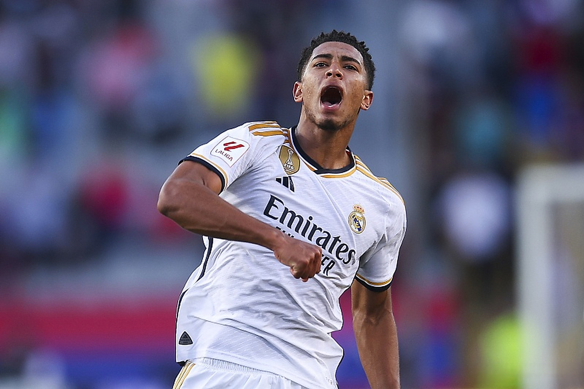 U19全锦赛收官：苏浙鲁沪包揽四强，男排浙江夺魁，女排江苏折桂（U19全锦赛落幕：四强尽归苏浙鲁沪，男排浙江称冠，女排江苏问鼎）